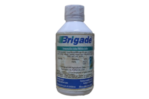 Brigade 25 EC