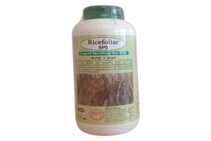 Rice Foliar