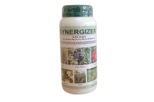 Synergizer