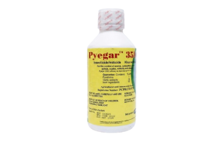 Pyegar